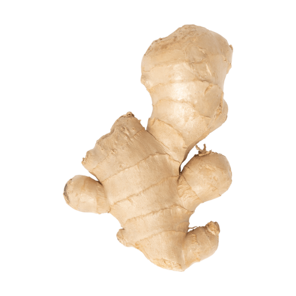 Ginger
